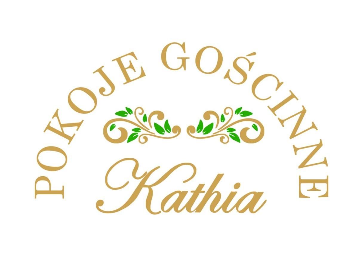 Отели типа «постель и завтрак» Kathia Pokoje Gościnne Катовице-9